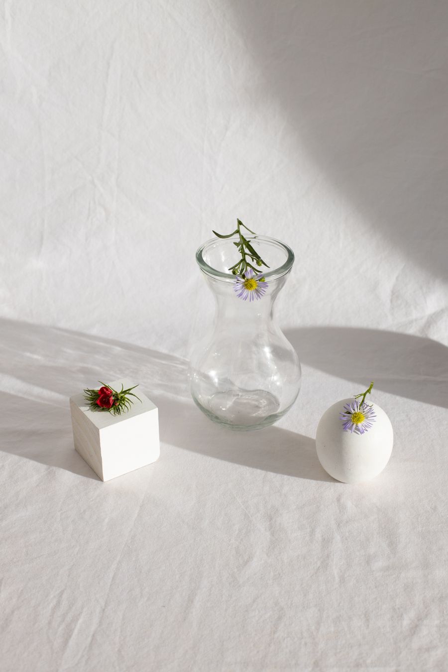 Petite Bloom